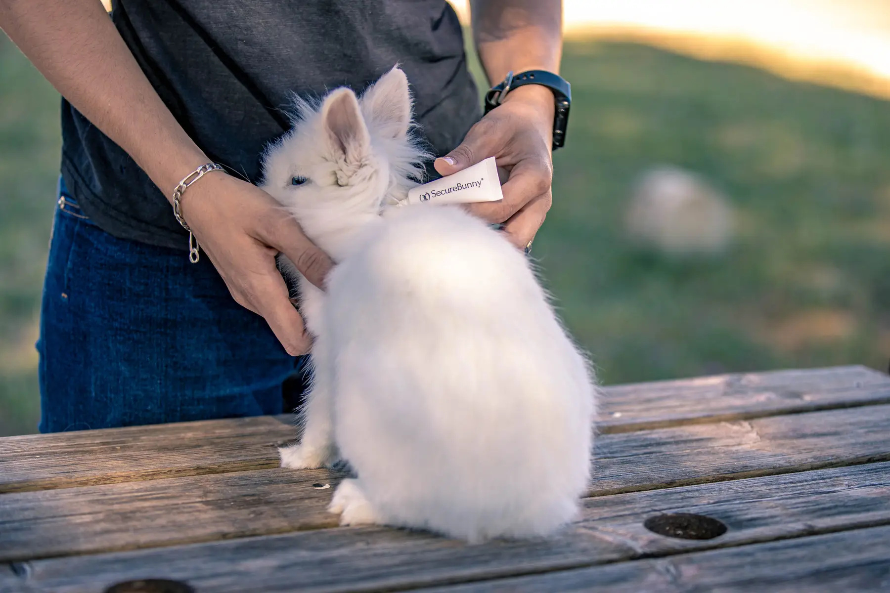 Un lapin blanc caressé par sa propriétaire en extérieur